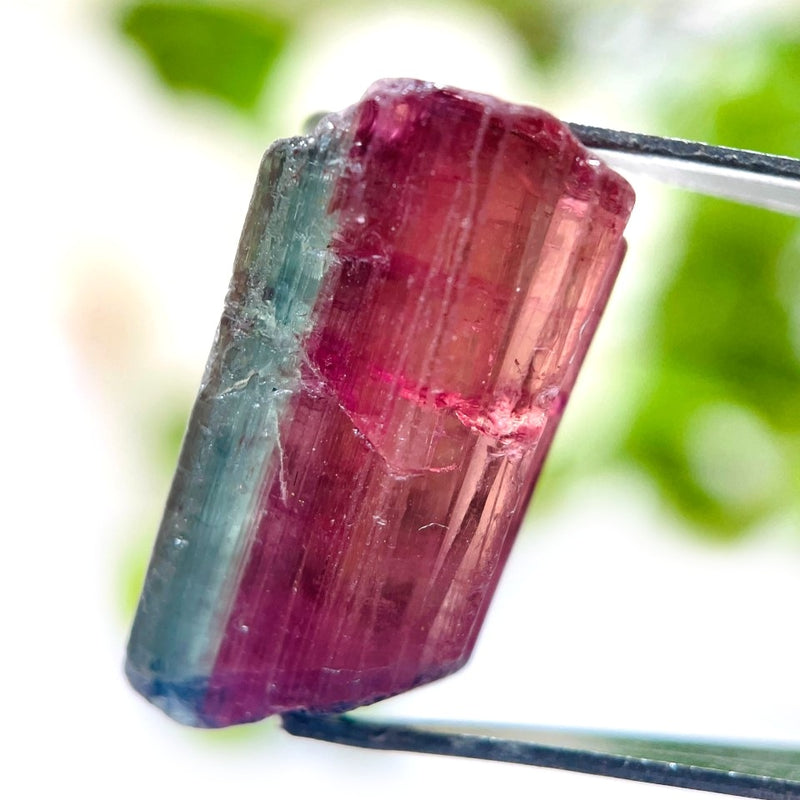 Blue Pink Tourmaline Rough (Spiritual Healing)