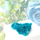 Botryoidal Gem Chrysocolla Mineral Clusters (Cunyari Mine, Peru)