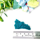 Botryoidal Gem Chrysocolla Mineral Clusters (Cunyari Mine, Peru)