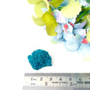 Botryoidal Gem Chrysocolla Mineral Clusters (Cunyari Mine, Peru)