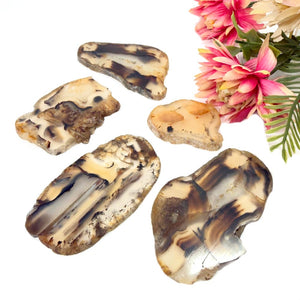 Botswana Agate Slice (Strength and Support)