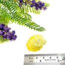 Yellow Brucite Rough (Goal Setting & Decision Making)