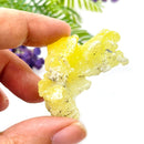 Yellow Brucite Rough (Goal Setting & Decision Making)