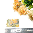 Bumble Bee Jasper Slice