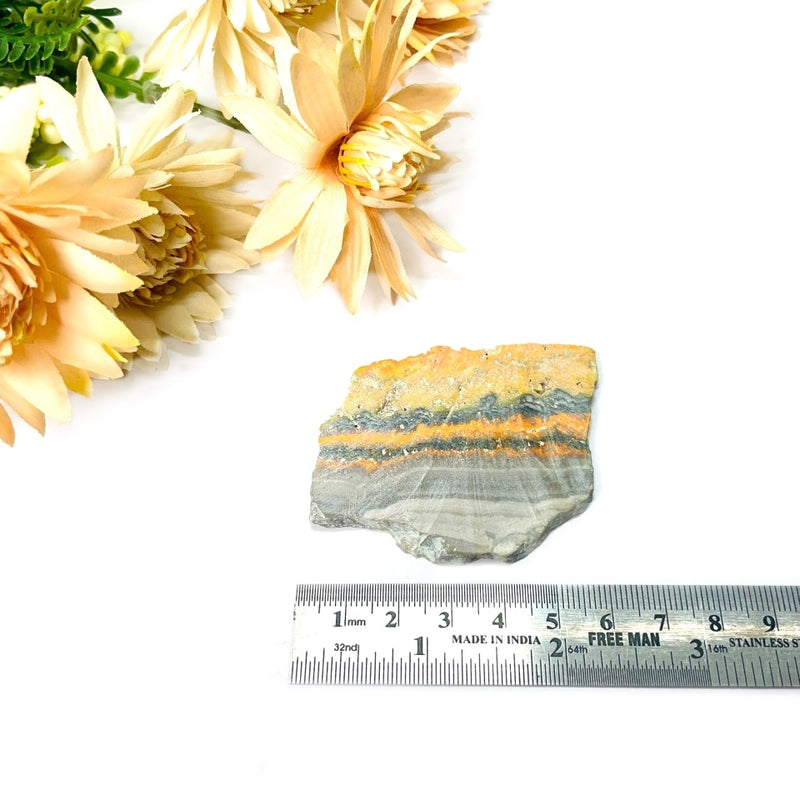 Bumble Bee Jasper Slice