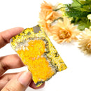 Bumble Bee Jasper Slice