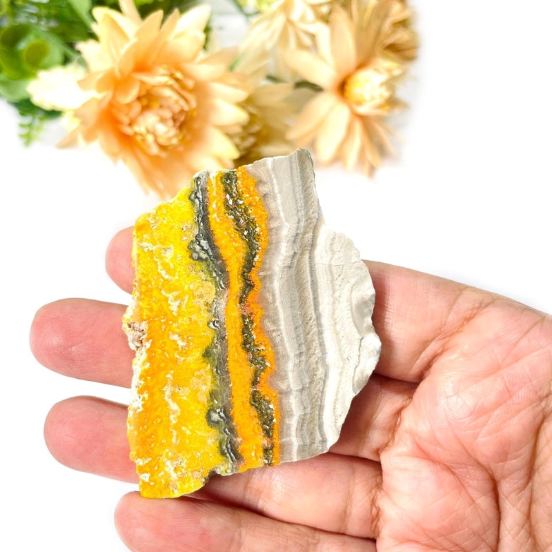 Bumble Bee Jasper Slice