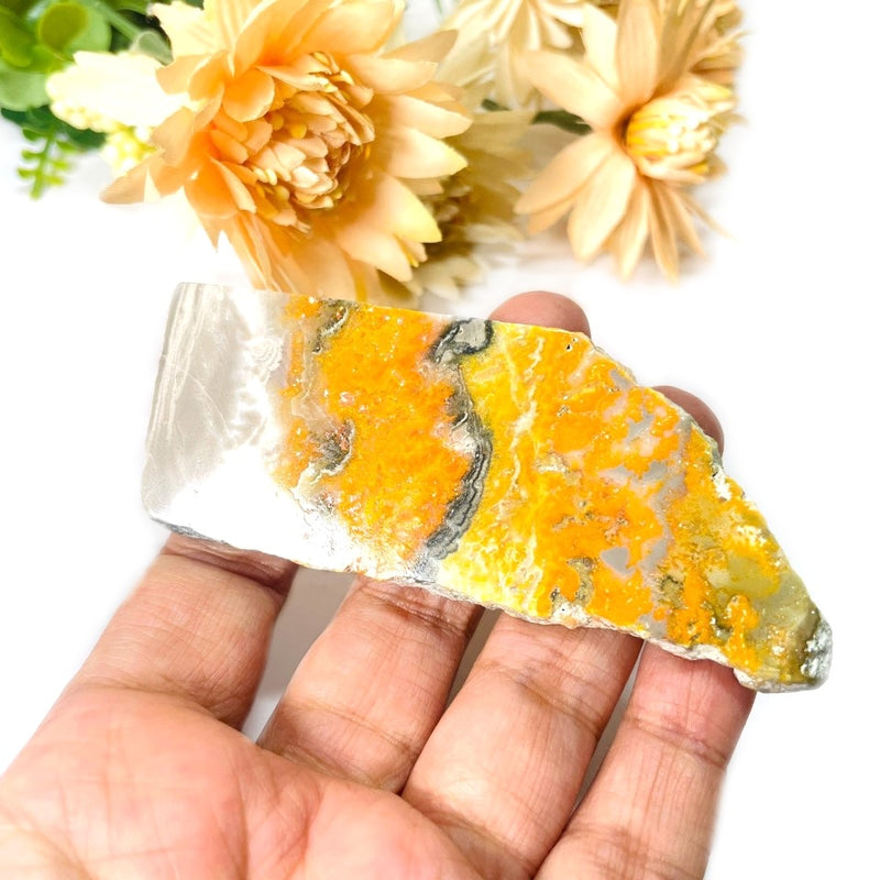 Bumble Bee Jasper Slice