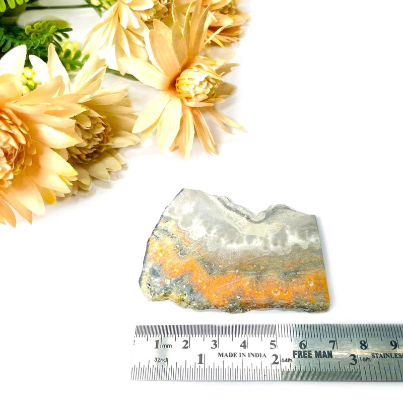 Bumble Bee Jasper Slice