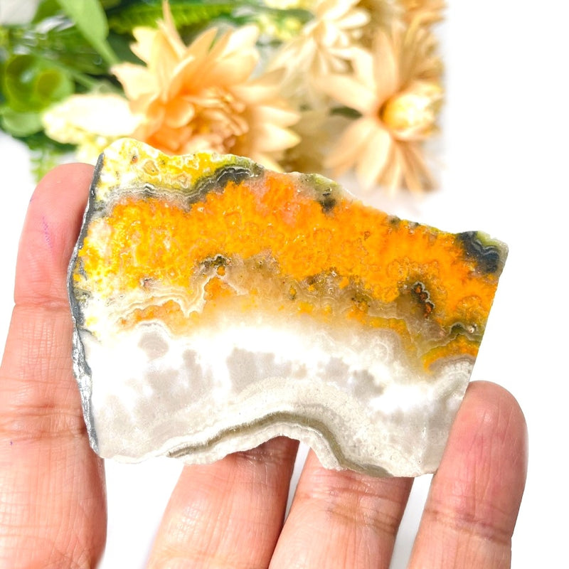 Bumble Bee Jasper Slice