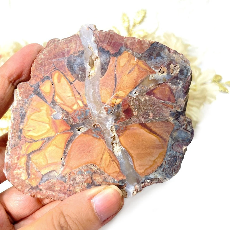 Butterfly Jasper Slice