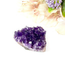 Amethyst Cluster AAA Extra Quality (Intuition and Spiritual Evolution)