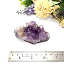 Amethyst Cluster (Spirituality and Wisdom)