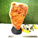 Citrine Standing Clusters AAA Extra Quality (For Career and Business)