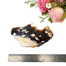 Peanut Wood Slices  (Stability)