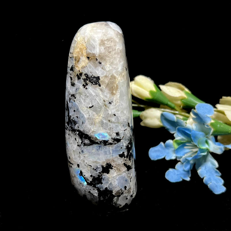 Rainbow Moonstone Free Forms (Divine Feminine Energy)