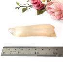 Smoky Quartz Lemurian Natural Points