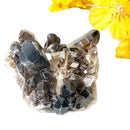 Smoky Quartz Cluster (Grounding & Balancing)