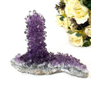 Stalactite Amethyst Cluster (Meditation and Intuition)