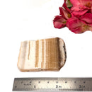 Yellow Lace Agate Slice