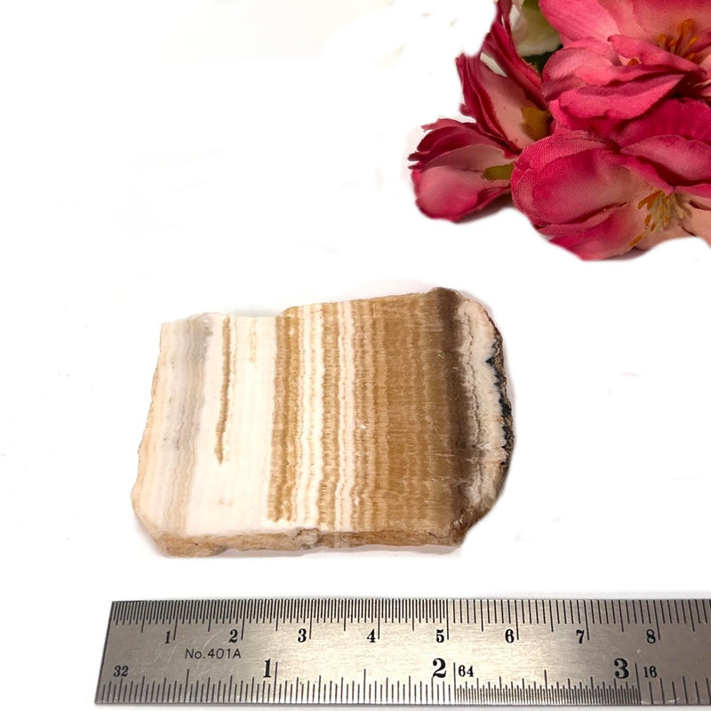 Yellow Lace Agate Slice