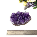 Amethyst Cluster AAA Extra Quality (Intuition and Spiritual Evolution)