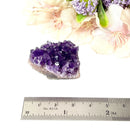 Amethyst Cluster AAA Extra Quality (Intuition and Spiritual Evolution)