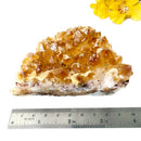 Citrine Cluster (For Career and Business)