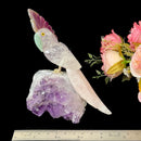 Medium Sized Crystal Parrots on Amethyst Clusters from Brazil