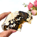 Peanut Wood Slices  (Stability)