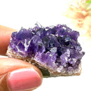 Amethyst Cluster AAA Extra Quality (Intuition and Spiritual Evolution)