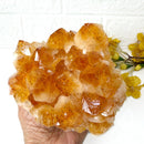 Large Citrine Clusters (Career and Business)