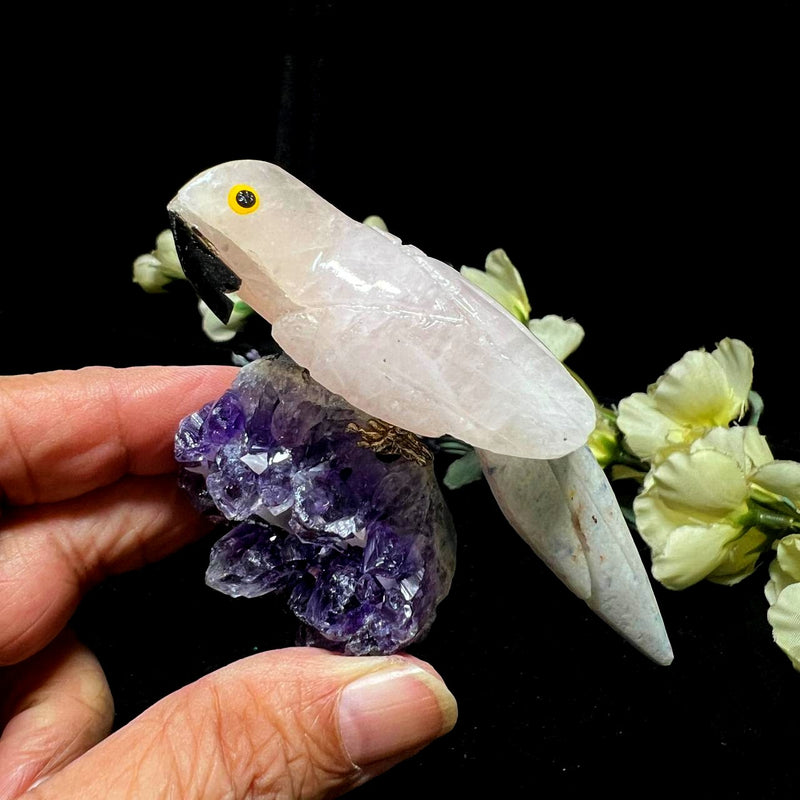 Small Crystal Birds / Parrots on Amethyst Druzy from Brazil