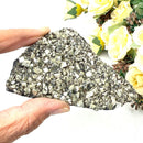 Shungite with Pyrite Rough from Brazil