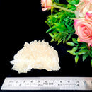 Calcite Cluster - Morocco (Cleansing & Amplification)
