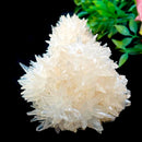 Calcite Cluster - Morocco (Cleansing & Amplification)