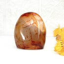 Carnelian Free Forms (Creativity & Passion)
