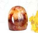 Carnelian Free Forms (Creativity & Passion)