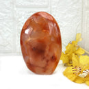 Carnelian Free Forms (Creativity & Passion)