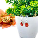 Carnelian Earrings in Silver