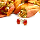 Carnelian Earrings in Silver