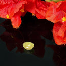 Cat's Eye Gem stone -  (Spirituality & Creativity)