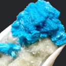 Cavansite (Channeling & Transition)