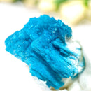 Cavansite (Channeling & Transition)
