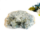 Celestite Cluster (Astral Travel and Intuition)