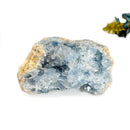 Celestite Cluster (Astral Travel and Intuition)