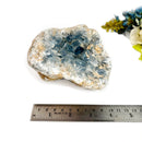 Celestite Cluster (Astral Travel and Intuition)
