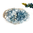 Celestite Cluster (Astral Travel and Intuition)