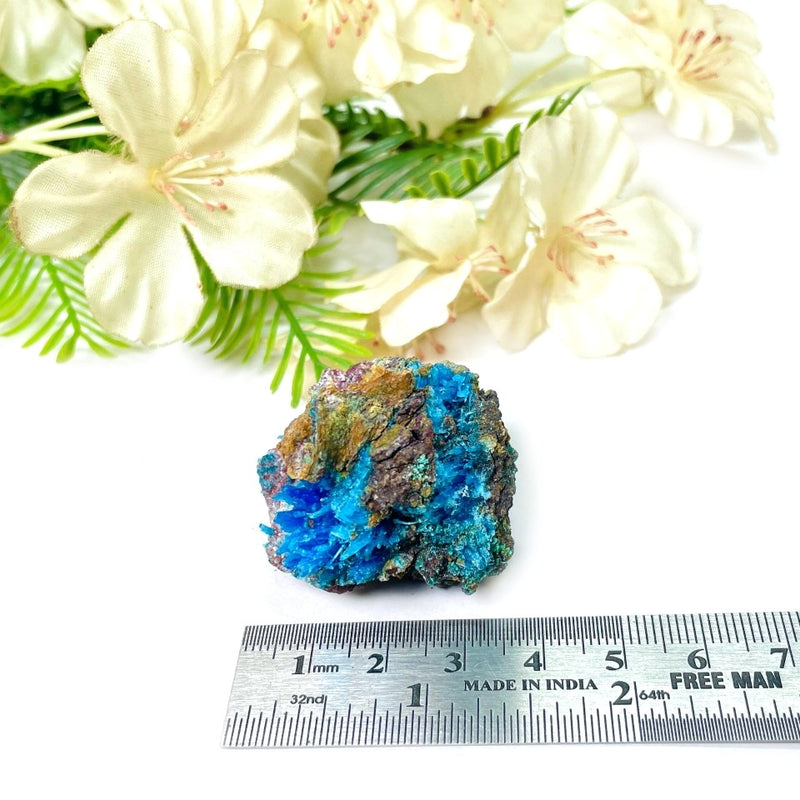Chalcanthite Mineral Specimen(Communication & Clarity)