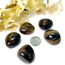 Chiastolite/Andalusite Tumbles (Stability & Problem-Solving)